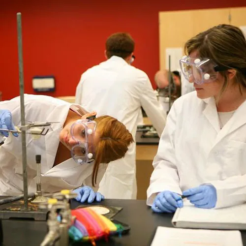 Students studying chemistry